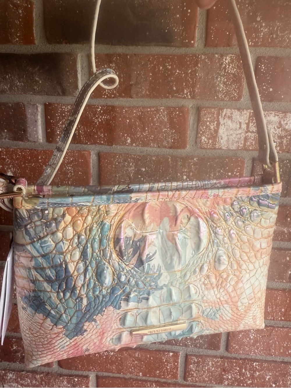 Brahmin  Lorelei Coral reef